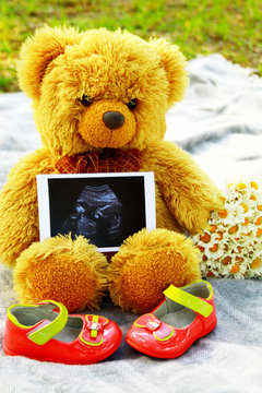 Pregnancy. Waiting for the child.Teddy bear with the ultrasound result.  Baby shoes for girls.