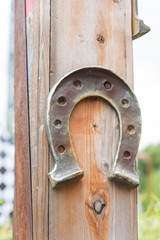 Horseshoe lucky horse