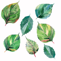 Beautiful lovely cute wonderful graphic bright floral herbal autumn green yellow leaves pattern watercolor hand illustration. Perfect for textile, wallpapers, wrapping paper