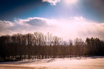 winter wonderland sunsWinter landscape in the sunet snow