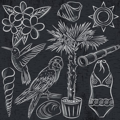 Set of  summer symbols, swim suit, parrot, Hummingbird, palm tree, flowers on  blackboard background, vector illustration