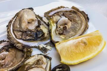 Oyster and lemon on the white plate