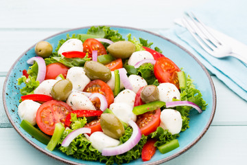 Vegetable salad with cheese mozzarella, tomatoes, basilikum and spice.