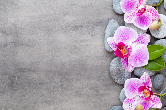 Fototapeta Beauty orchid on a gray background. Spa scene.