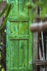 Wooden door of green color