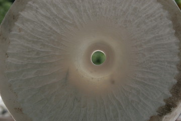 Obraz premium handmade marble vase