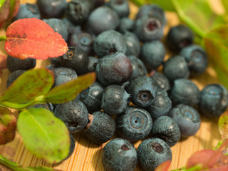 Superfood Blueberries