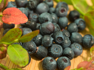 Superfood Blueberries