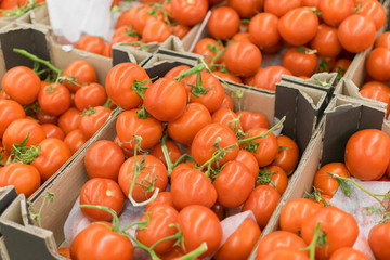 Tomatoes in boxes are stored in the warehouse,  red tomatoes