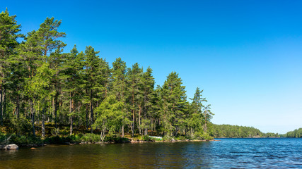Fototapeta na wymiar Typische Seenlandschaft in Schweden