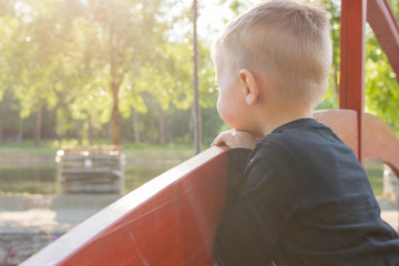 A small boy of 3-5 years looks thoughtfully into the distance in a park in the summer under the sun's rays.