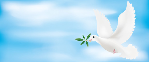 Fototapeta na wymiar Web banner 3d illustration with dove and olive branch with sky background