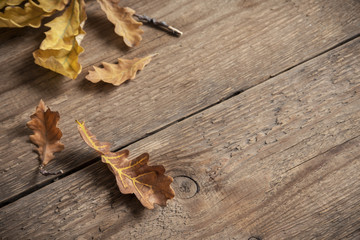 Naklejka na ściany i meble Autumn. Dry leaves on wooden