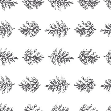 Vector seamless pattern with natural elements. Hand drawn forest texture. Fir branches and cones isolated on white. Pine details sketch