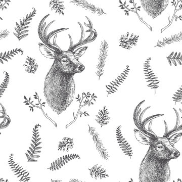 Vector vintage seamless pattern. Forest life. Hand drawn texture with deer head and botanical elements. Animal with branches, herbs and other natural details