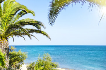 Plakat Palm trees on the beach. Santa Eulalia, Portugal