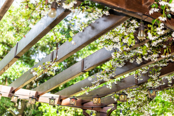 Closeup of patio outdoor spring flower garden in backyard porch of home, zen with pergola canopy wooden gazebo, plants landscaping - obrazy, fototapety, plakaty
