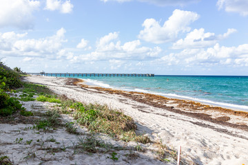 Juno Beach Pier jetty in Jupiter, Florida, sunny day, turquoise water, sand, nobody, seaweed, cloudy sky, atlantic ocean, clouds