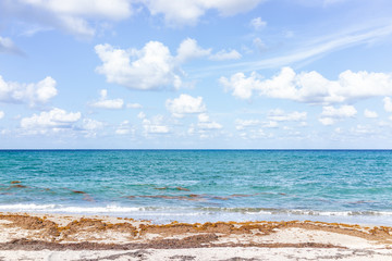 Landscape view of Juno Beach in Jupiter, Florida, sunny day, turquoise water, sand, nobody, seaweed, cloudy sky, atlantic ocean, clouds © Kristina Blokhin