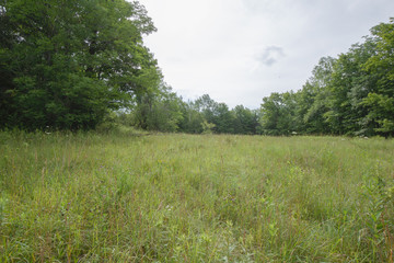 Peaceful Open Field View within the Bruce Trails Splitrock Narrows