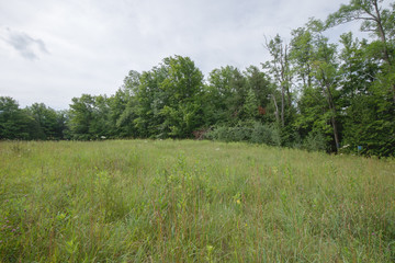 Peaceful Open Field View within the Bruce Trails Splitrock Narrows