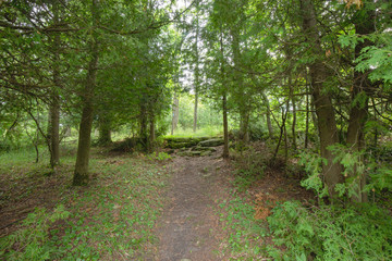 Trail within the Bruce Trails Splitrock Narrows