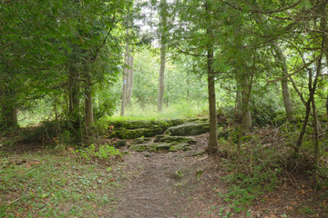 Trail within the Bruce Trails Splitrock Narrows