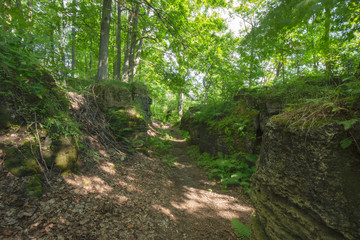 Crevice within the Bruce Trails Splitrock Narrows