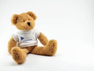 Brown toy Teddy Bear in a white t-shirt with the inscription.