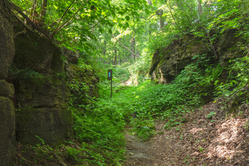 Crevice within the Bruce Trails Splitrock Narrows