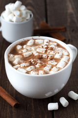 Large white cup of cocoa with marshmallow