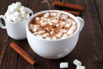 Large white cup of cocoa with marshmallow