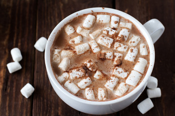 Large white cup of cocoa with marshmallow