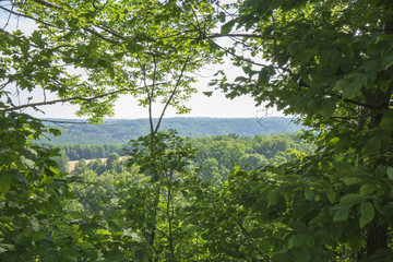 Peaceful Open Forest View within the Bruce Trails Splitrock Narrows