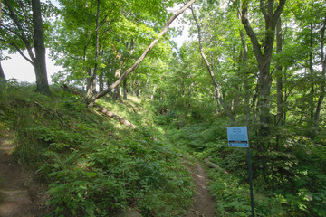 Trail within the Bruce Trails Splitrock Narrows