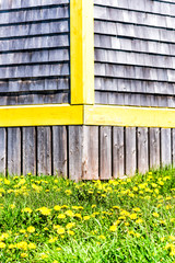Old vintage wooden house painted yellow in idyllic rural countryside in summer with dandelion flowers on meadow
