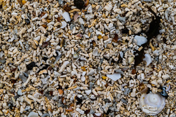 Claigan Coral Beach, Isle of Skye