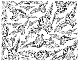 Autumn Animal, Illustration Wallpaper Background of Hand Drawn of Owls. Symbolic Animal to Show The Signs of Autumn Season. 