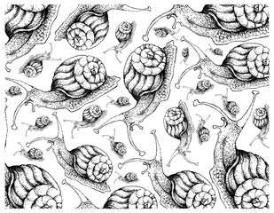 Autumn Animal, Illustration Wallpaper Background of Hand Drawn of Snails. Symbolic Animal to Show The Signs of Autumn Season. 