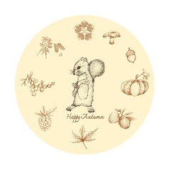 Autumn Animal, Illustration Hand Drawn of Squirrel with Pine Leaves and Fruit, Mushroom, Acorn, Pumpkin, Apple, Maple, Berry and Groundnut. Symbolic Animal to Show The Signs of Autumn Season. 