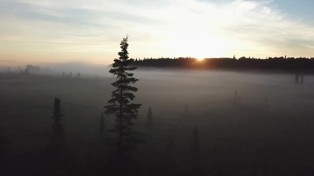 Beautiful foggy sunrise over the Kenai River flats at 5am in Alaska.