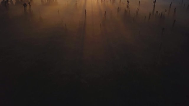 Beautiful foggy sunrise over the Kenai River flats at 5am in Alaska.