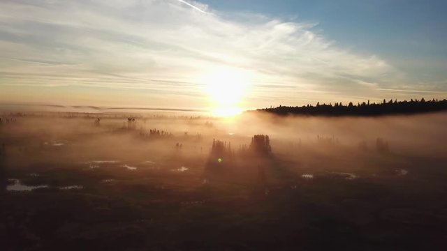 Beautiful foggy sunrise over the Kenai River flats at 5am in Alaska.