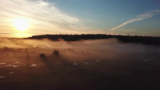 Beautiful foggy sunrise over the Kenai River flats at 5am in Alaska.