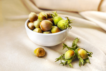 Hazelnuts or filberts with green leaves in white bowl on light velvet cloth.