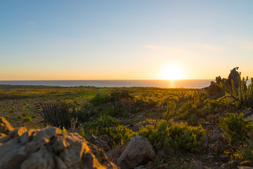 Sunset landscape in the vicinity of the Llanos del Challe park. Desert of Atacama, northern Chile