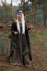 Heroes of fairy tales and fantasy. Druid, half-elven, elf, witch, fairy.