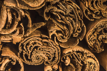 Ceylon cinnamon sticks , close-up