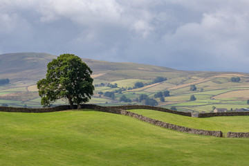 Fototapeta na wymiar View of the rolling hills in the Yorkshire Dales National Park near Hawes