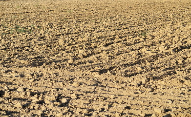 Champ de terre labouré